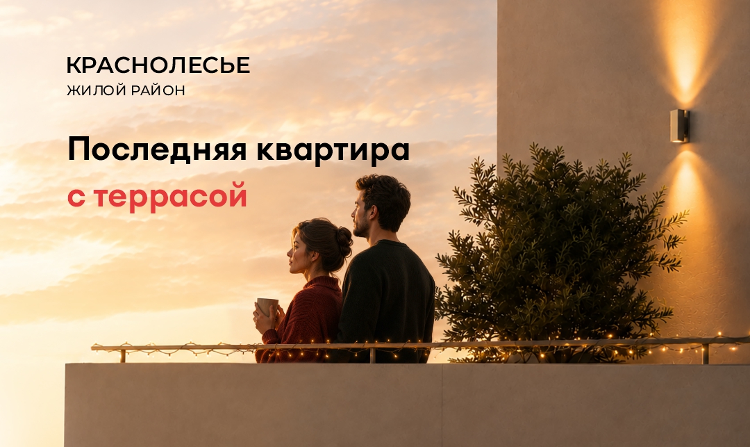 Терраса с видом на лес